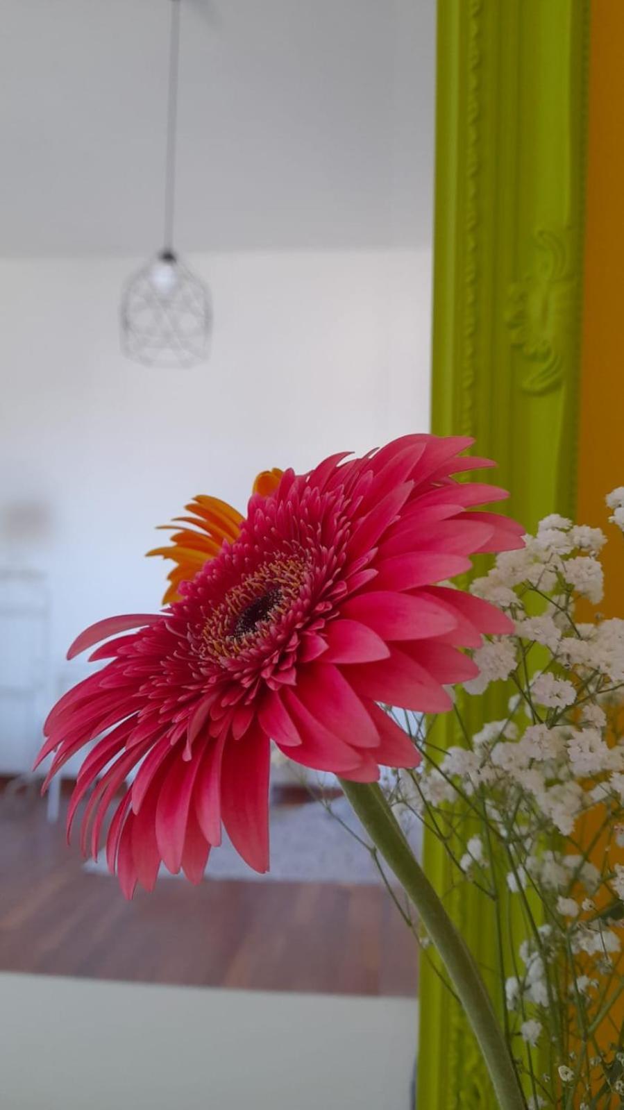 Sole Amare Guest House Бари Екстериор снимка